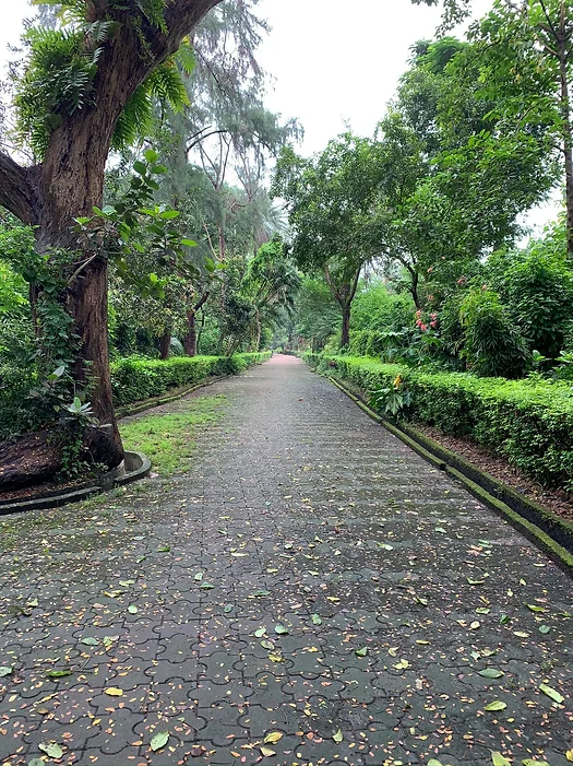 Birding hotspots, Kolkata, Rabindra Sarobar, National Lake