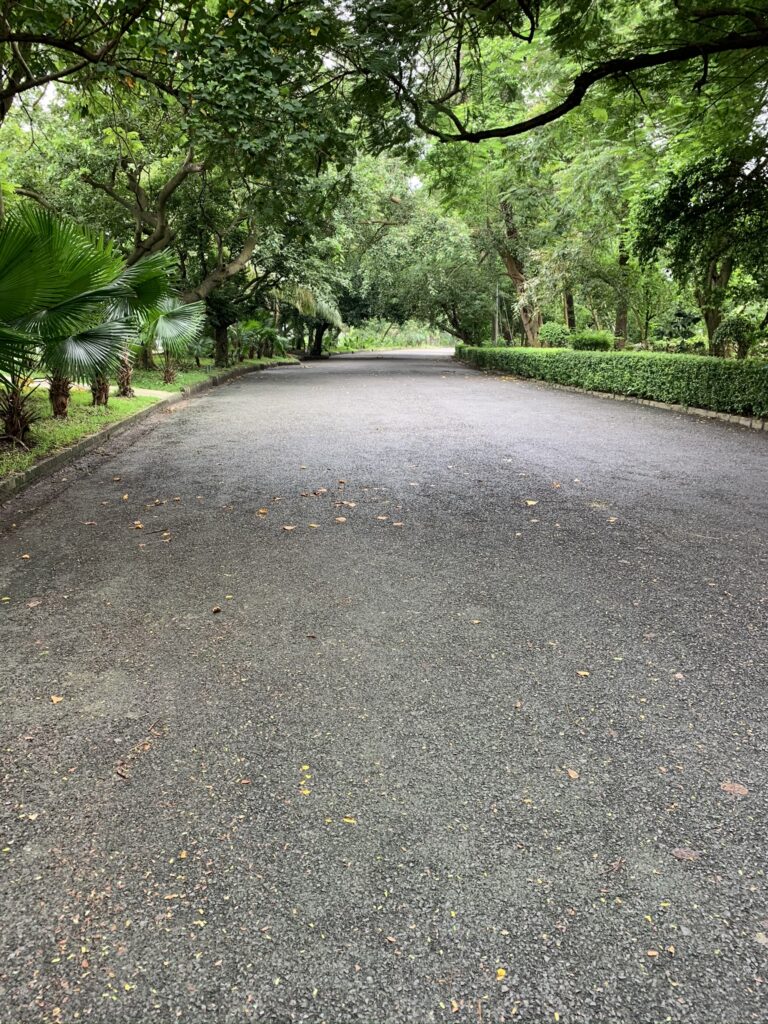 Birding hotspots, Kolkata, Rabindra Sarobar, National Lake