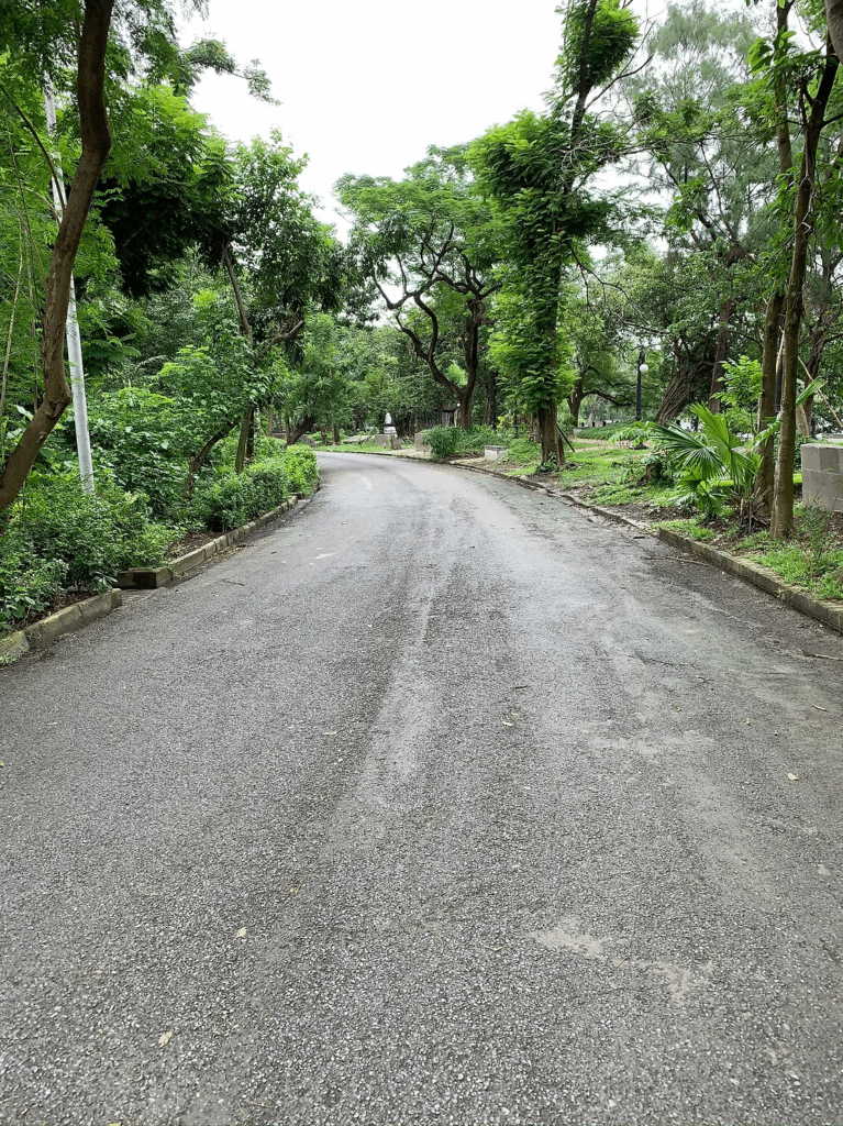 Birding hotspots, Kolkata, Rabindra Sarobar, National Lake