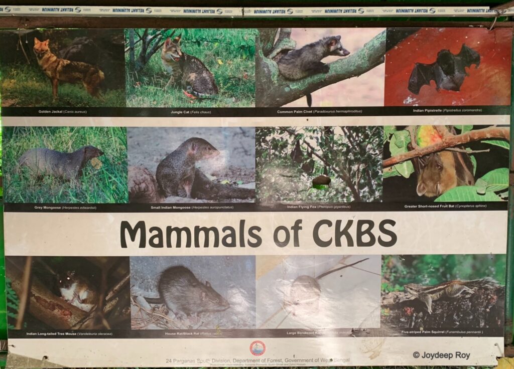 0fb0a4 416b523daa884fdcbf10d33ca6b0c7f2~mv2.jpeg