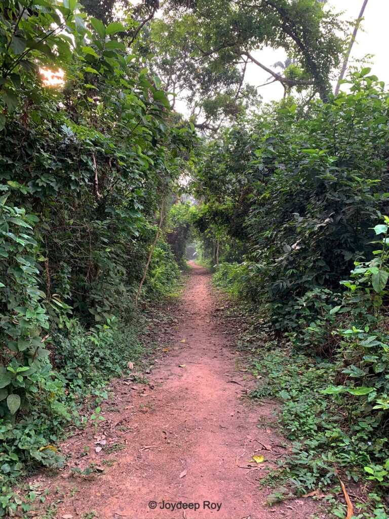 0fb0a4 a73080cd60b74bd3bcc1ee1af0184f72~mv2.jpeg