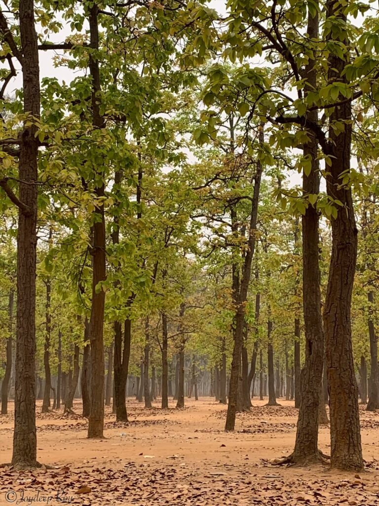 Shantiniketan, Bolpur ezy watermark 04 09 2025 11 01 13 5740pm