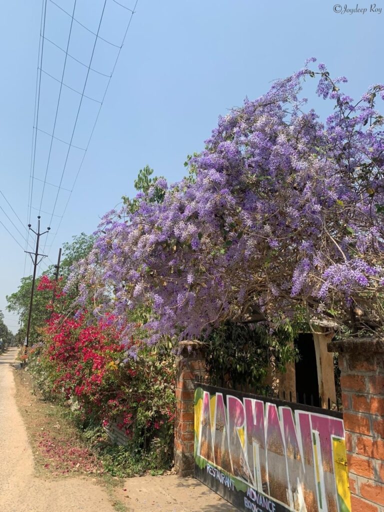 Shantiniketan, Bolpur ezy watermark 06 09 2025 12 37 08 7250am